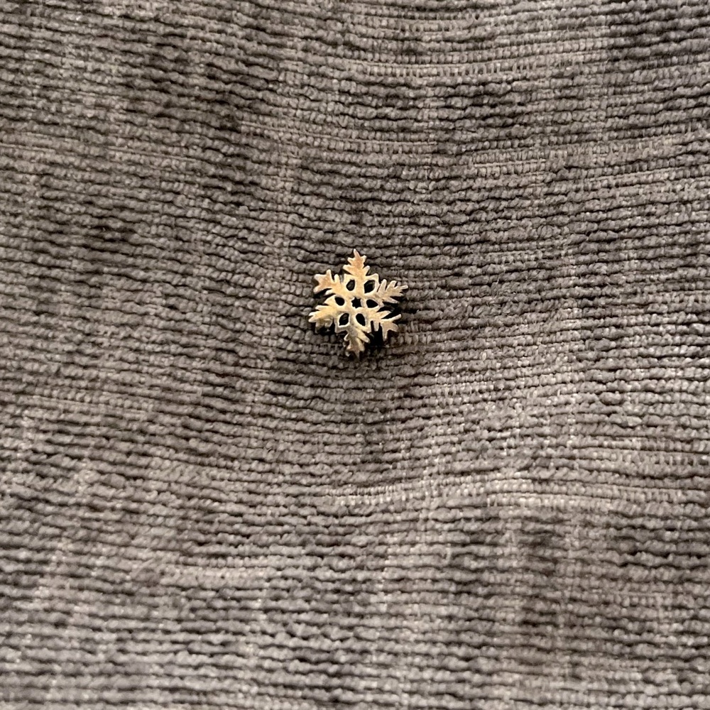 Pandora charm